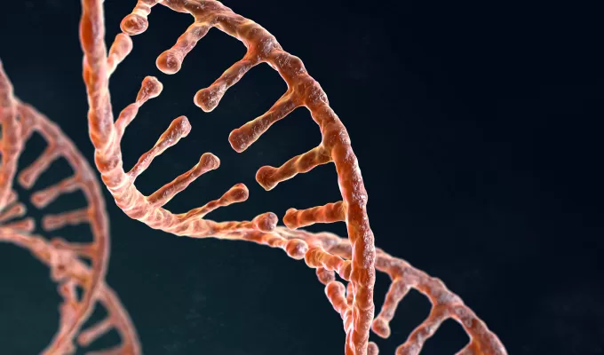 Highlights of Plasmid Preparation