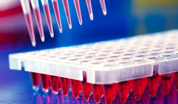 Highlights of Probes