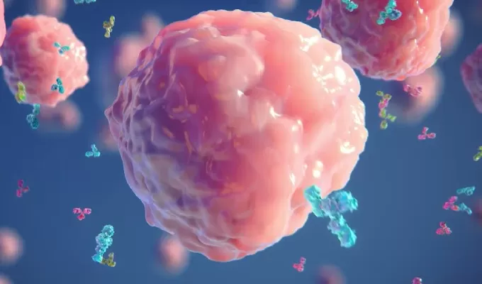 Highlights of Recombinant Antibody Service