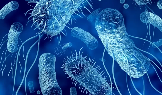 Highlights of Recombinant Protein Expression