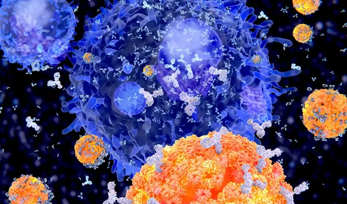 Highlights of Single B Cell Screening