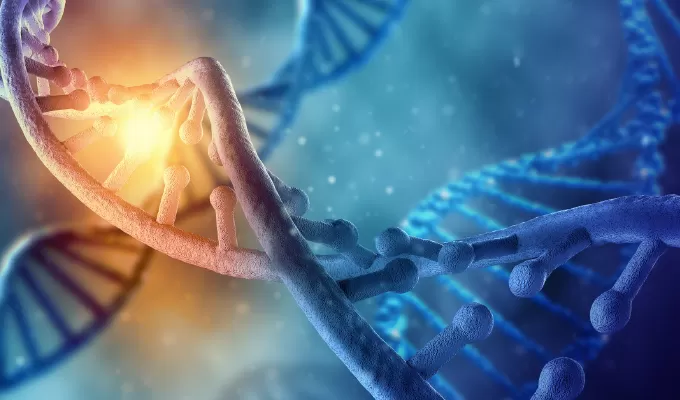 Highlights of Site-directed Mutagenesis