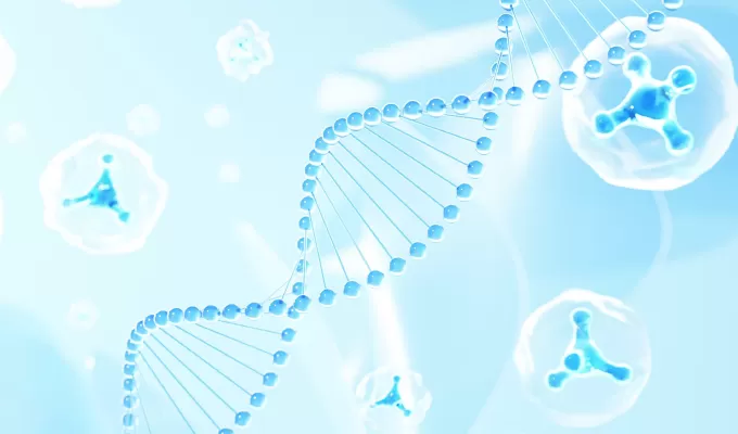 Highlights of Spacers & Structural Modifications