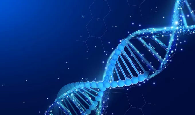 Highlights of Standard Gene Synthesis