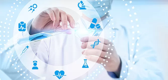 Custom Modifications