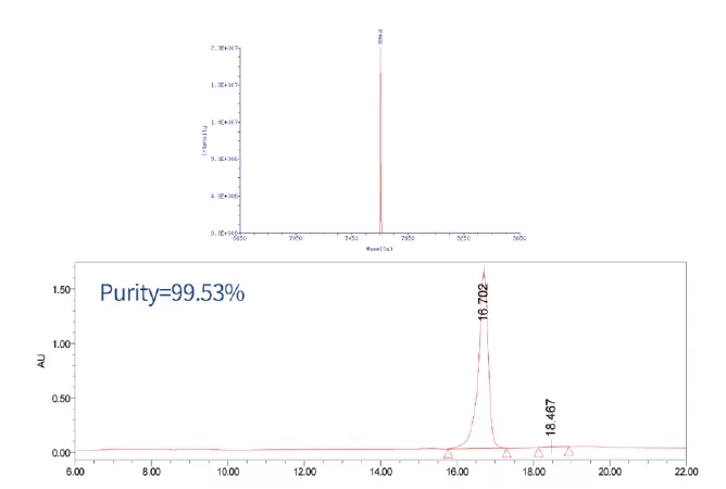 LNA and PS Modifications