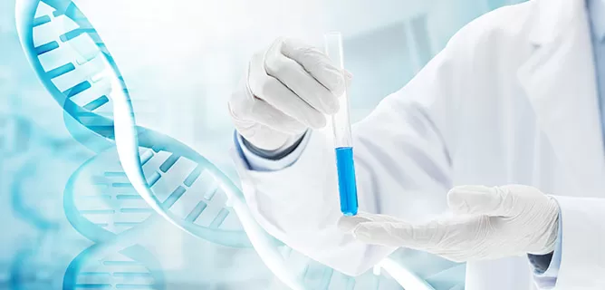 LNP Formulation Services