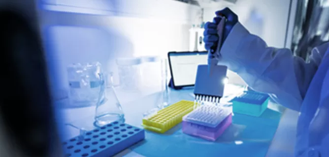 LNP Formulation Support