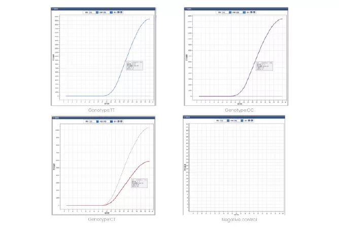 MGB Probe for SNP Detection