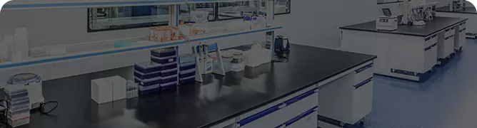 Antibody Drug Discovery