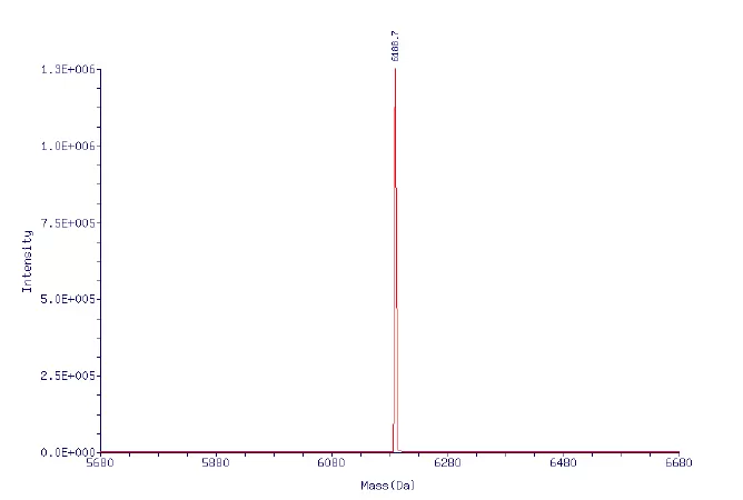 Molecular Weight Deviation ≤ 0.05%