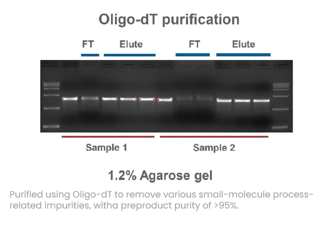 IVT mRNA Purification1