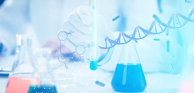 Hybrid Capture Probes