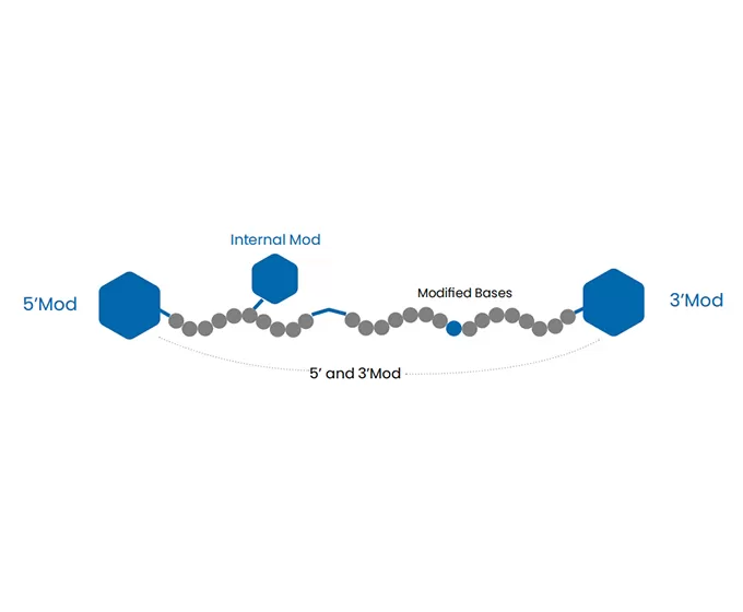 Oligo Modifications