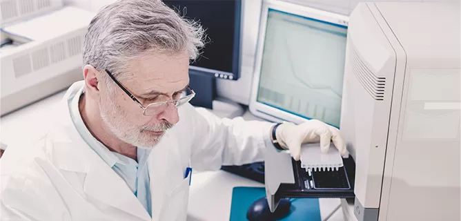 SNP Genotyping Probes