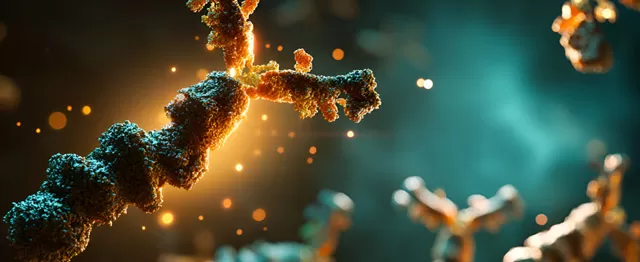 Target Identification & Validation