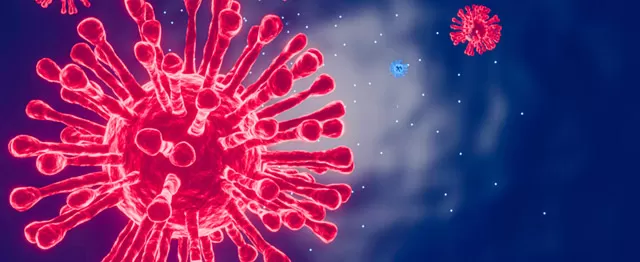 Vaccine Validation Tools