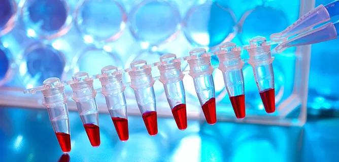 Isothermal Amplification Kits (phi29)