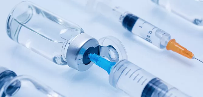 Plasmid DNA Production