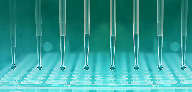 Plasmid DNA Services