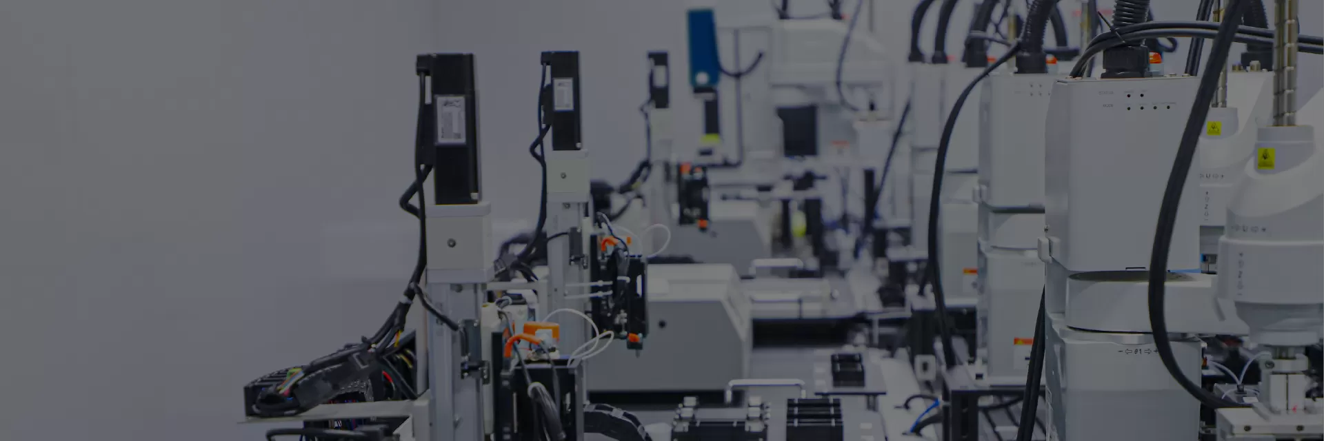 ProLong Gene Synthesis