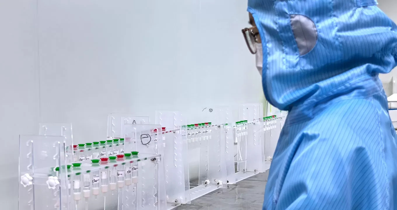 Protein & Antibody Production Line - Antibody Purification