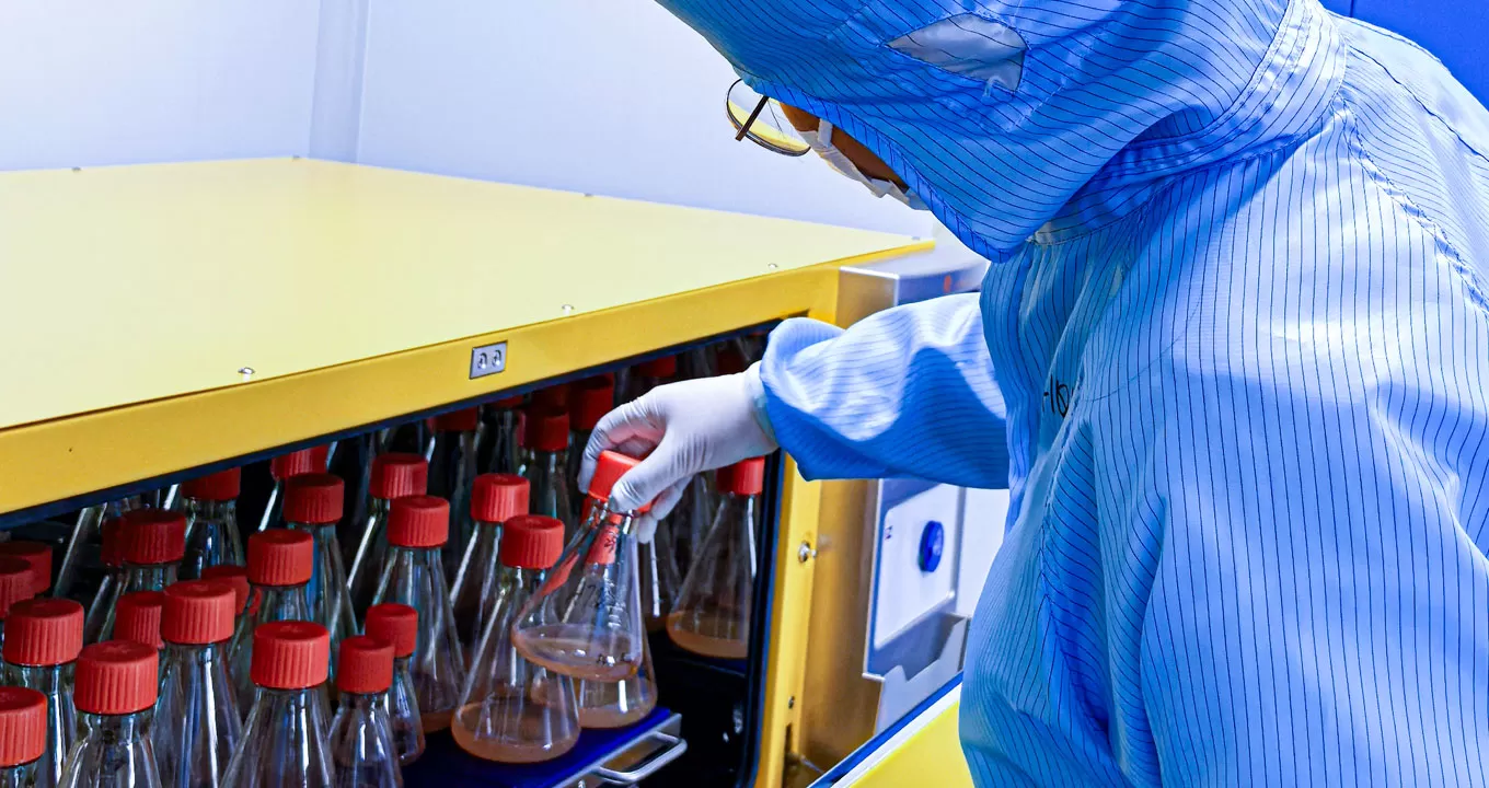 Protein & Antibody Production Line - Bacterial Culture on a Shaker