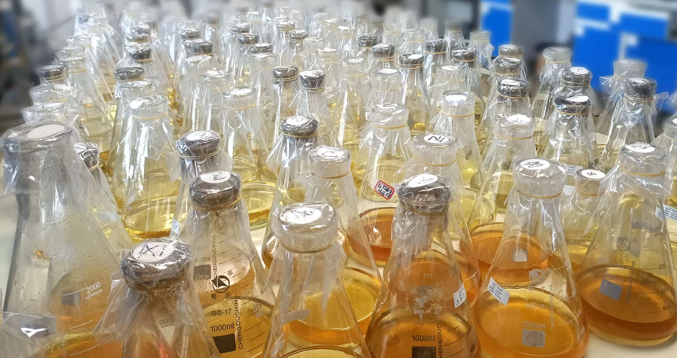 Protein & Antibody Production Line - Culture Flask Preparation