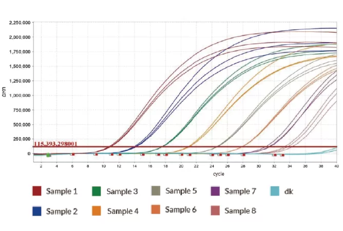 qPCR Probe for SNP target gene quantification