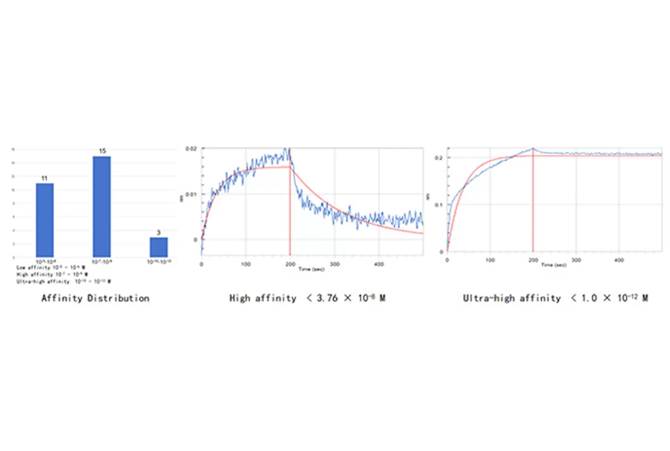 Case 2. Rabbit Single B Cell Screening