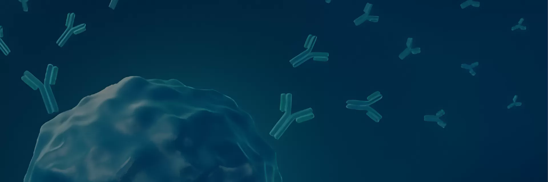 Recombinant Antibody Service