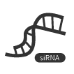 siRNA Duplex