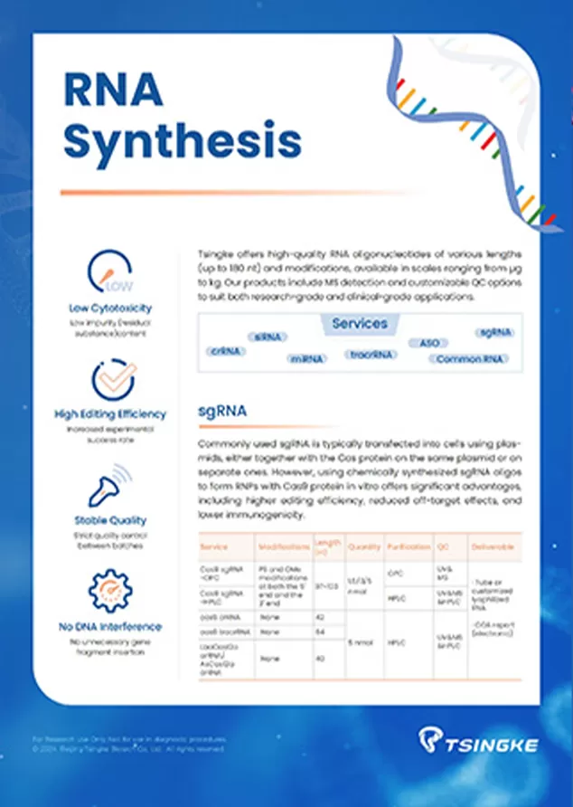 RNA Synthesis Flyer