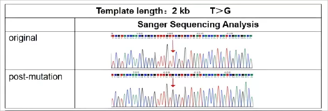 Single Point Mutation