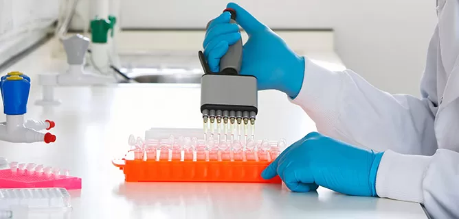 siRNA / shRNA Libraries