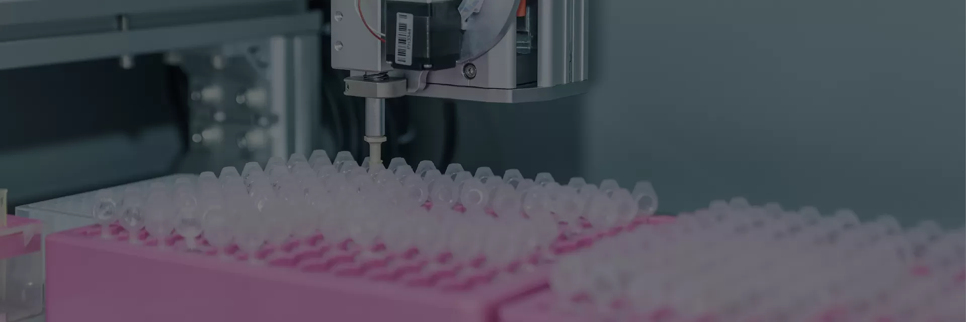 Site-directed Mutagenesis