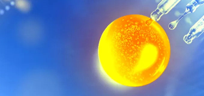 Small Nucleic Acid Drug Development