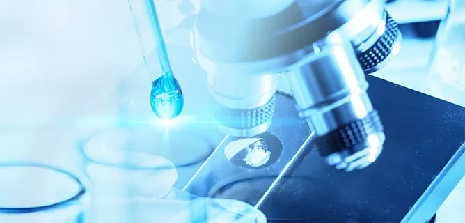 Microbial Strain Development