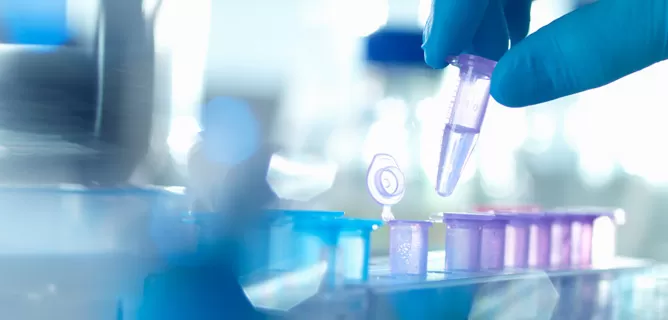 Synthetic Antibody Libraries