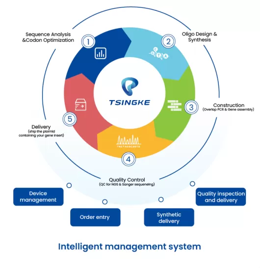 Annual Review | The Highlight Moments of Tsingke in 2023