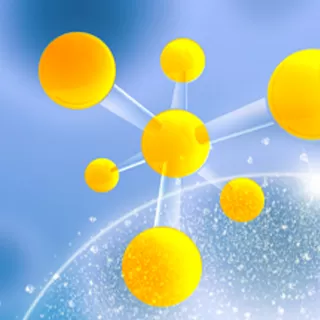 The Importance of PCR Primer Design and How to Choose the Best Service Provider