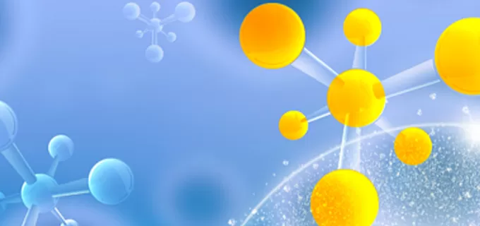 The Importance of PCR Primer Design and How to Choose the Best Service Provider