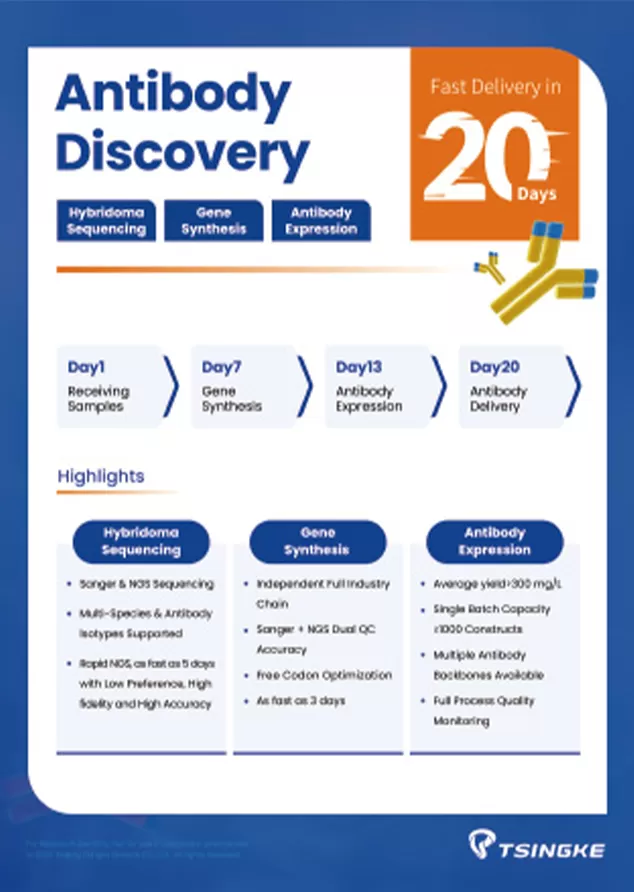Tsingke Antibody Discovery Flyer