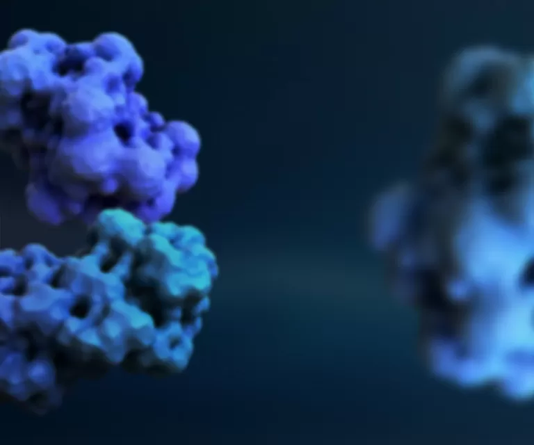 From Monomer to Medicine