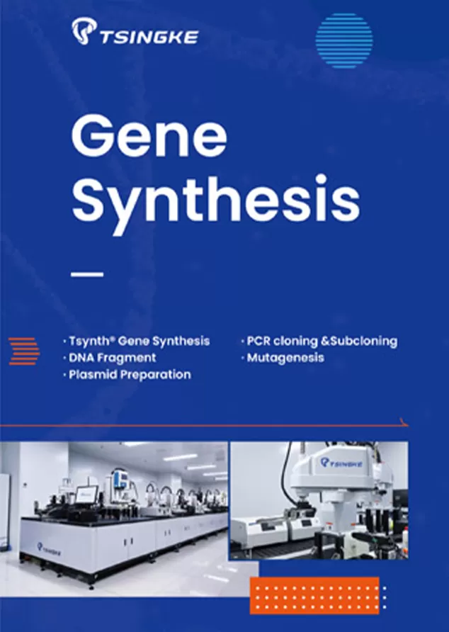 Tsingke Gene Synthesis Brochure