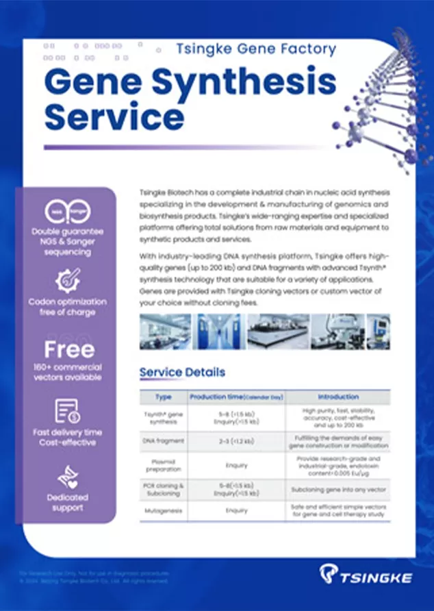 Tsingke Gene Synthesis Flyer
