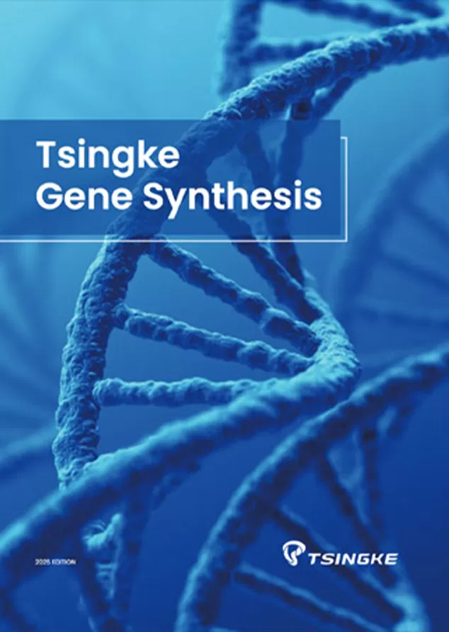 Tsingke Gene Synthesis Handbook