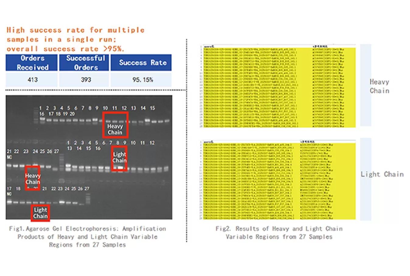 Hybridoma Sequencing Case