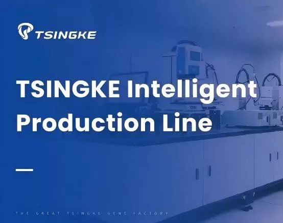 What Makes Us Different Platform Capabilities (Differentiator Block)