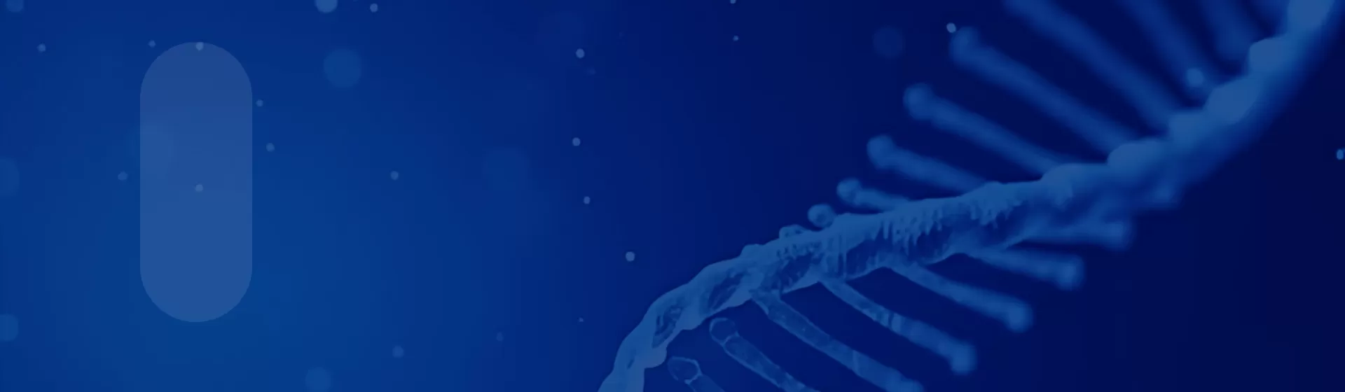 Tsingke Biotech Holiday Promotion